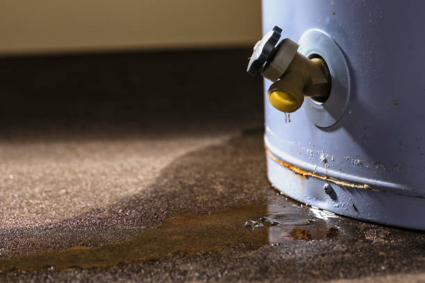 Best Local water damage restoration  in Oill, NE