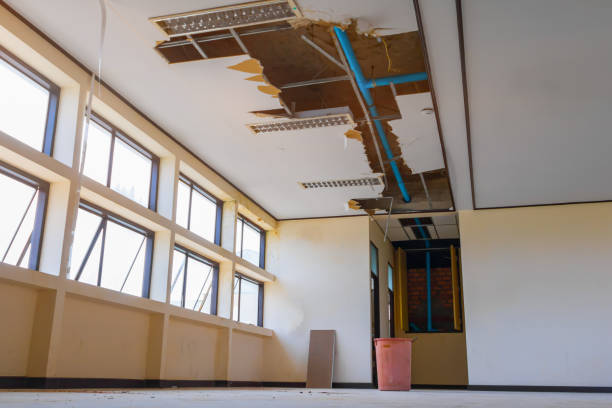 Best Residential water damage restoration  in Oill, NE