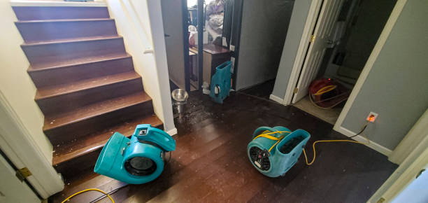 Best Flood restoration services  in Oill, NE