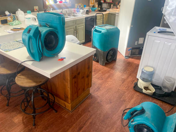 Best 24/7 water damage repair  in Oill, NE
