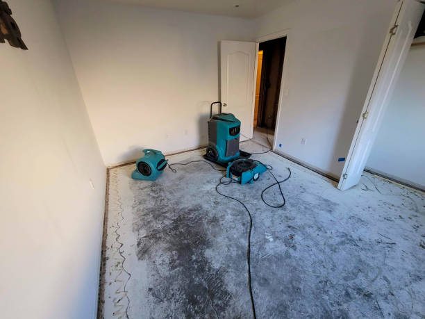Best Sewage cleanup and water damage restoration  in Oill, NE