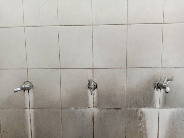 Best Ceiling water damage repair  in Oill, NE