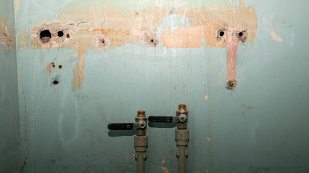 Best Fire Damage Restoration  in Oill, NE